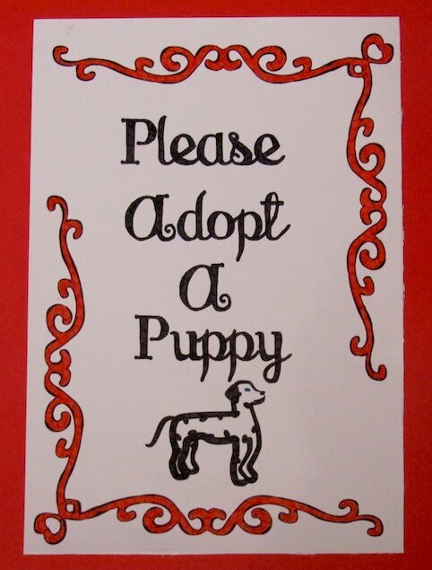 Please Adopt a Puppy