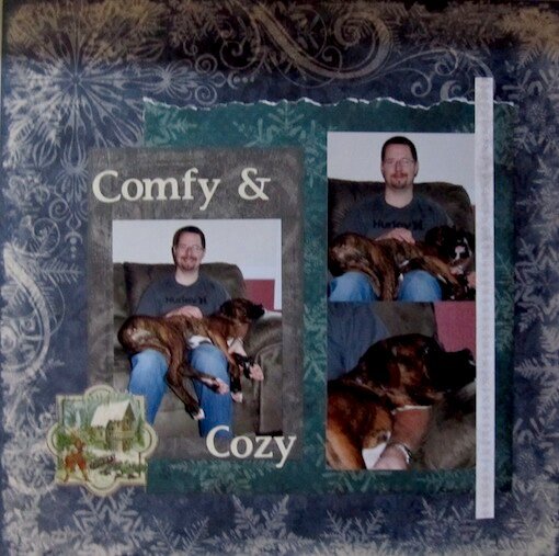 Comfy &amp; Cozy