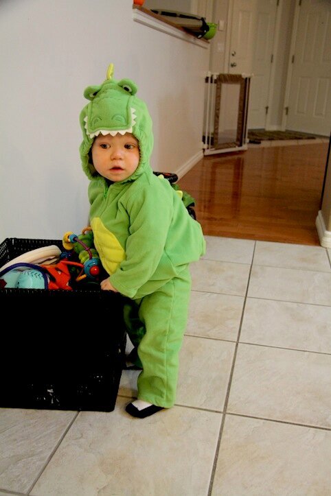 Cutest Dinosaur!