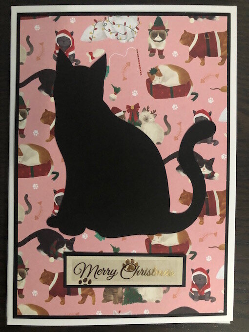 Cat Christmas Card