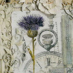 thistle 2