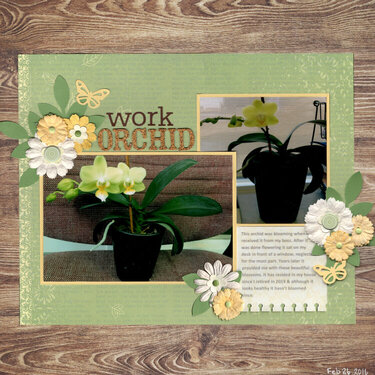 Work Orchid