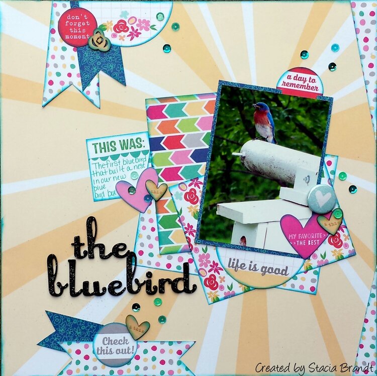 The Bluebird