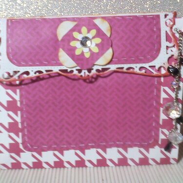 Mini Clutch Purse