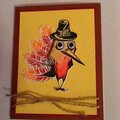 Crazy Bird Turkey/Pilgrim