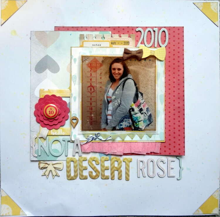 Not A Desert Rose
