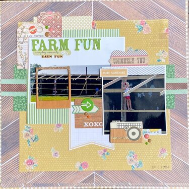 Farm Fun (Barn Fun)