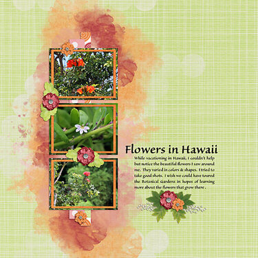 Flowers in Hawaii