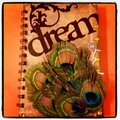 Dream journal
