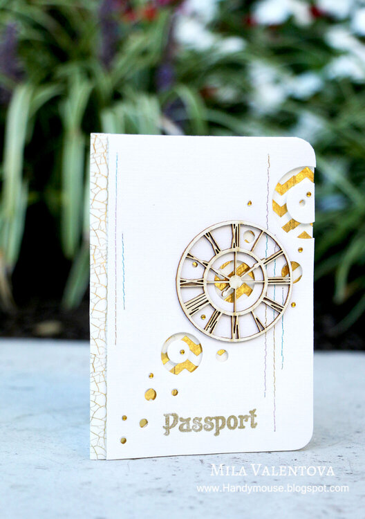 Passport cover &quot;Gold worlds&quot;.