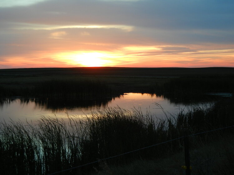 Sunset over a creek...August Photo Fun #5