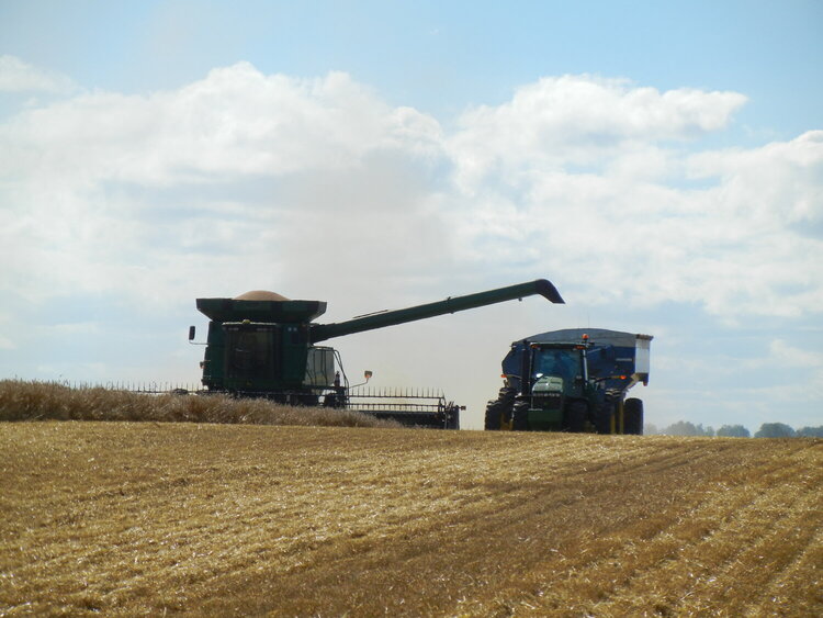 Harvesting Wheat - September Photo Fun #1