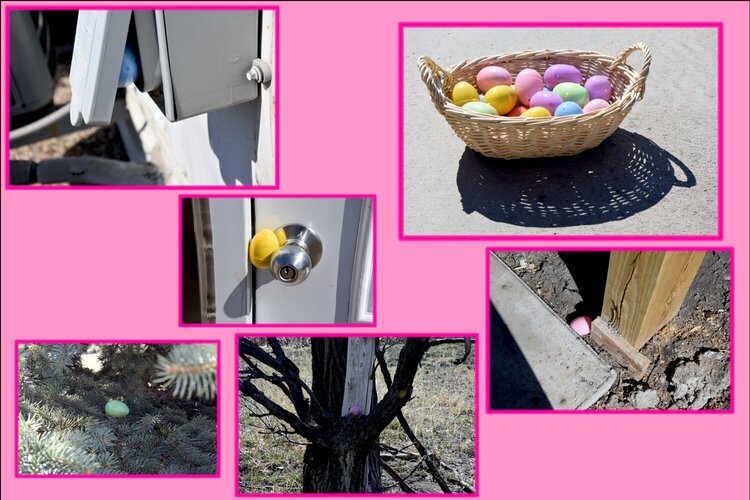 Easter egg hunt