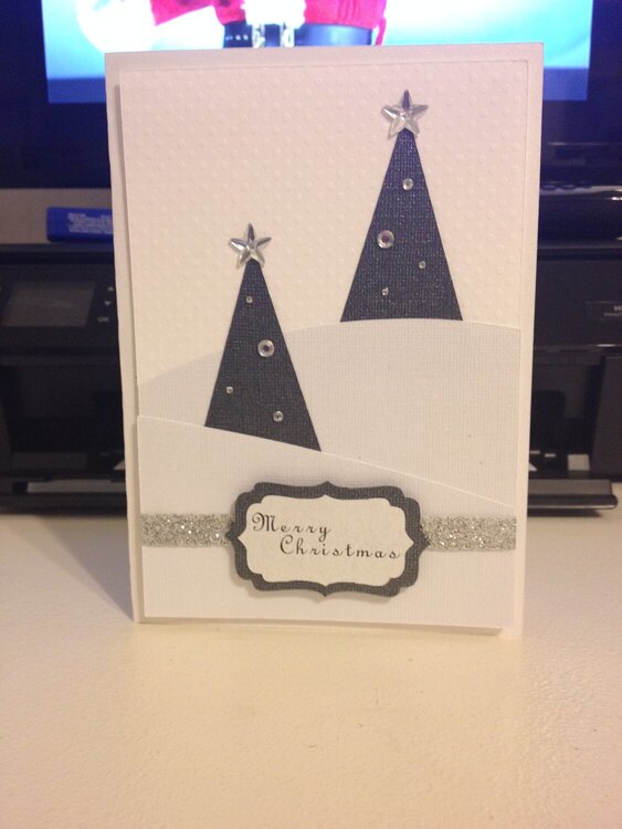 Christmas 2013 Card