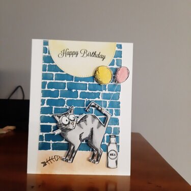 Alley Cat Birthday