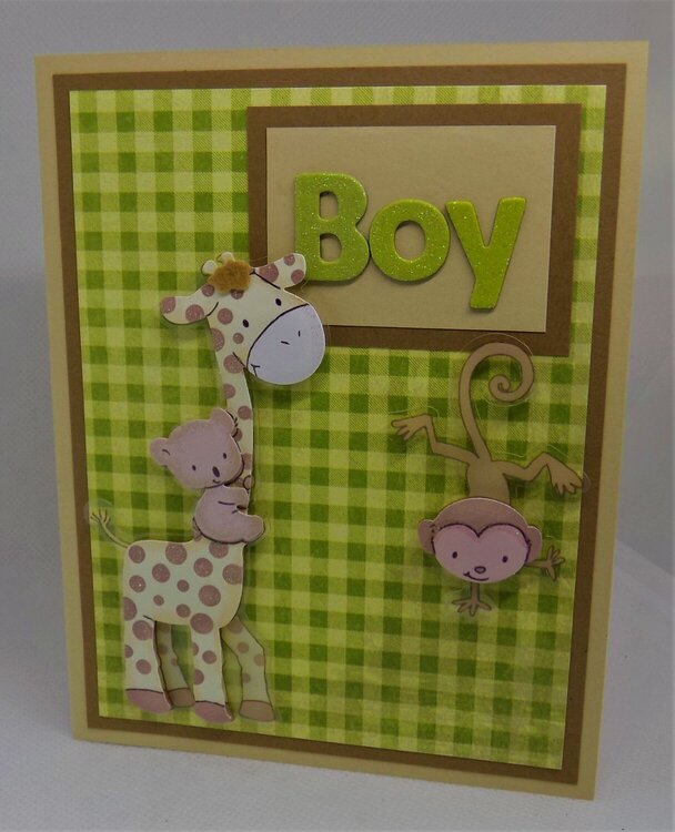 Green Brown and Beige Baby Boy Card