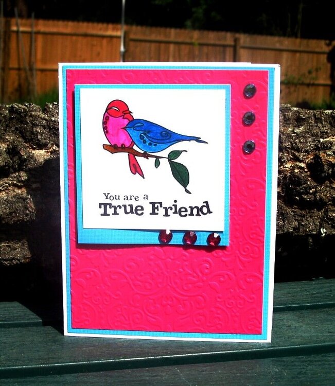 Bright Birds Embossed True Friend Card
