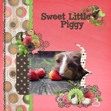 Sweet Little Piggy