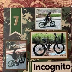 Incognito