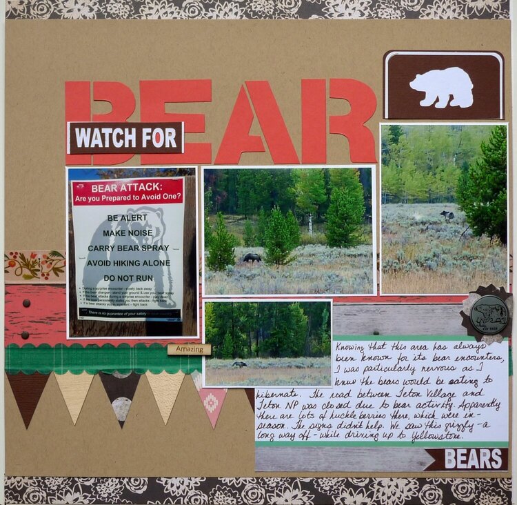 Watch for Bear