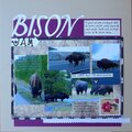 Pg 32 - Bison Jam