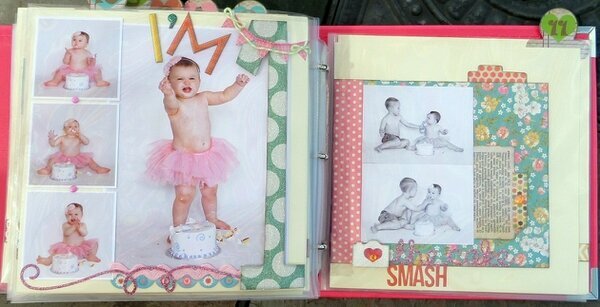 Baby&#039;s First Year- SET 2