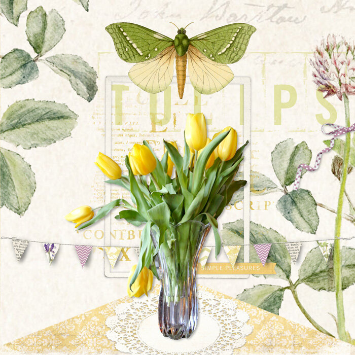 Spring Tulips