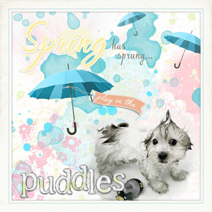 Play in the Puddles