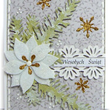 White poinsettia with gold - christmas card