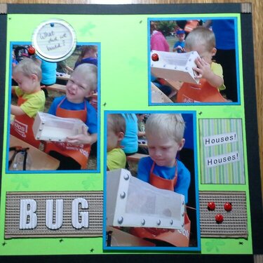 What did we build?  Bug Houses!