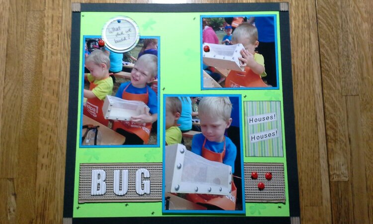 What did we build?  Bug Houses!