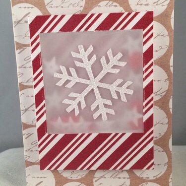 Snowflake shaker card