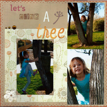 Let&#039;s climb a tree