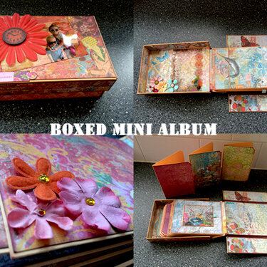 Box-cover Mini Album