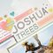 Joshua Trees
