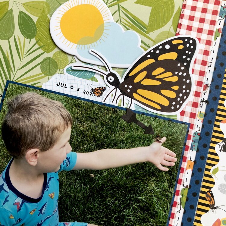 Saving a Butterfly