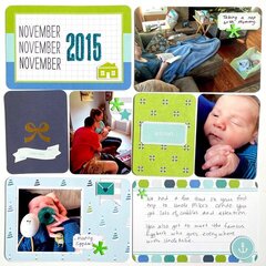 A Year in Review Nov 2015 Page 1