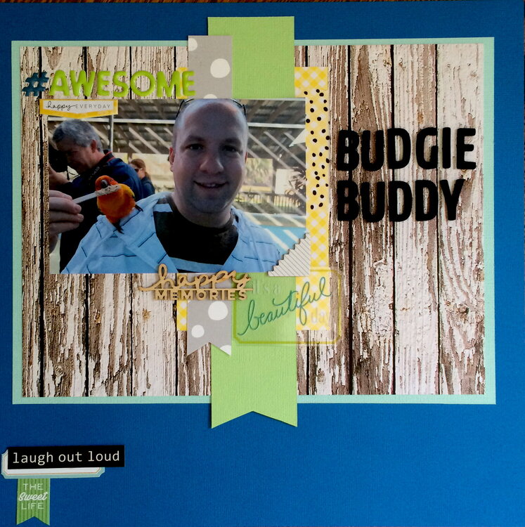 Budgie Buddy