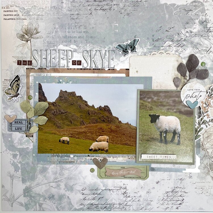 The Sheep of Skye