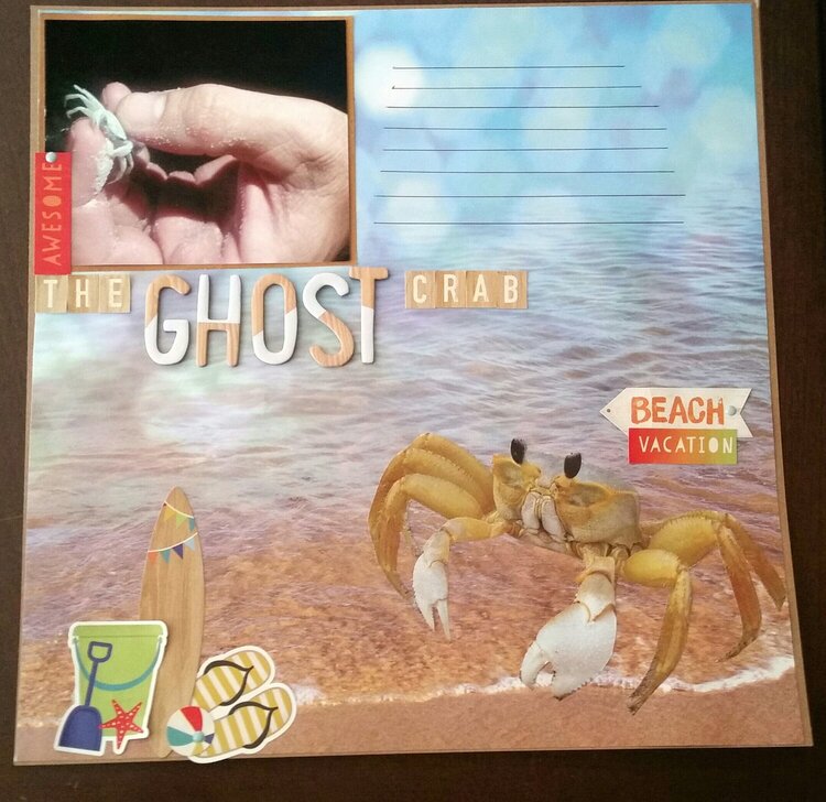 THE GHOST CRAB