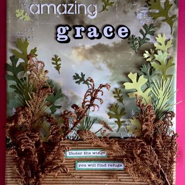 Amazing Grace Display