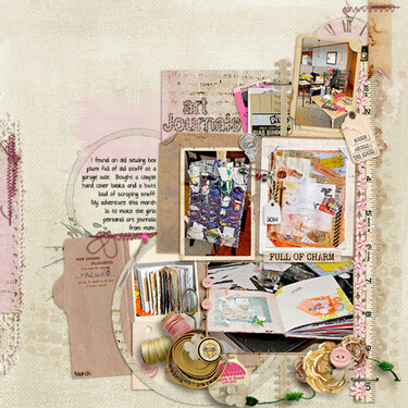 Nic Sarah journal