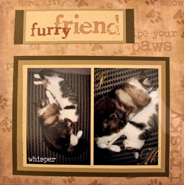 Furry friend