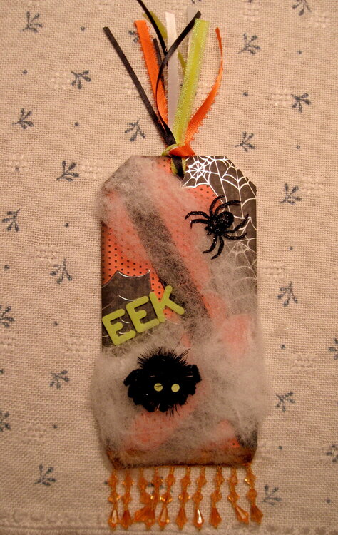 Spider Web Tag