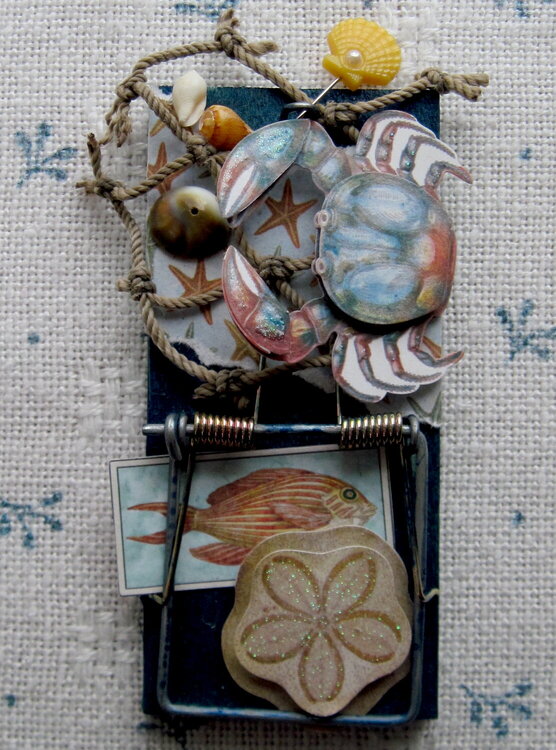 &quot;Nautical&quot; altered mouse trap