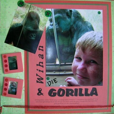 Wihan and the gorilla