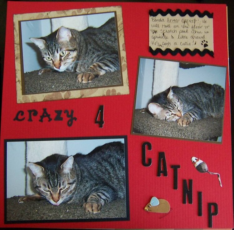 Crazy 4 CATNIP