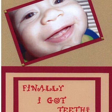 First Teeth