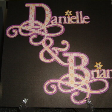 Danielle &amp; Brian Wedding Album Cover