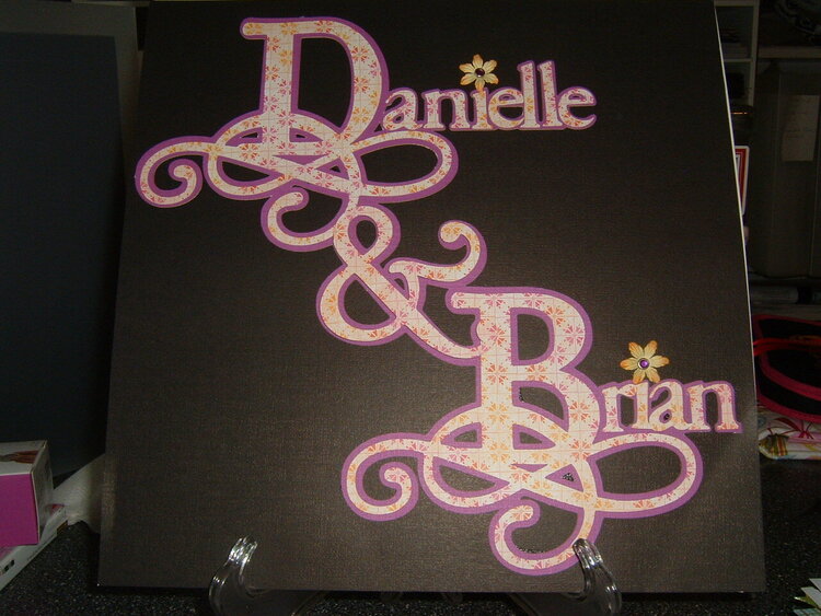 Danielle &amp; Brian Wedding Album Cover